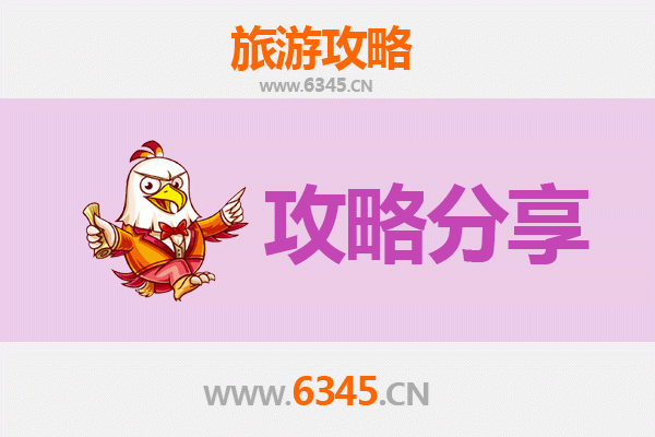 海西乌兰至湄洲岛旅游攻略：跟团 vs 自由行深度解析
